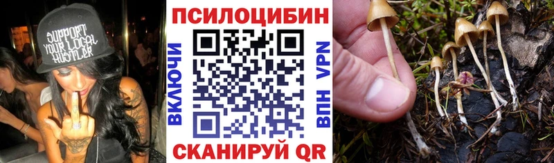 Галлюциногенные грибы GOLDEN TEACHER  Лесной 